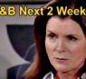 https://www.celebdirtylaundry.com/2024/the-bold-and-the-beautiful-next-2-weeks-sheila-steffy-face-off-brookes-horror-finns-special-wedding-task/