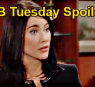 https://www.celebdirtylaundry.com/2024/the-bold-and-the-beautiful-spoilers-tuesday-march-19-steffy-unleashes-fury-on-hope-brookes-surprise-help-for-thomas/
