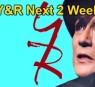 https://www.celebdirtylaundry.com/2024/the-young-and-the-restless-next-2-weeks-jordan-derails-party-harrison-at-risk-billy-makes-a-vow-and-nikkis-a-mess/