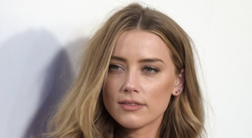 Meet Tasya van Ree - Amber Heard's Domestic Partner