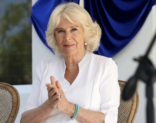 Will Camilla Parker-Bowles Become Queen? Future Princess Consort Title Could Be Changed