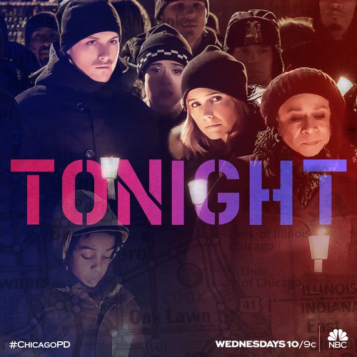 Chicago PD Recap 2/24/16: Season 3 Episode 16 "The Cases That Need to Be Solved"