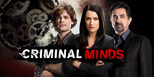 Criminal Minds Recap 01/15/20: Season 15 Episode 3 "Spectator Slowing"