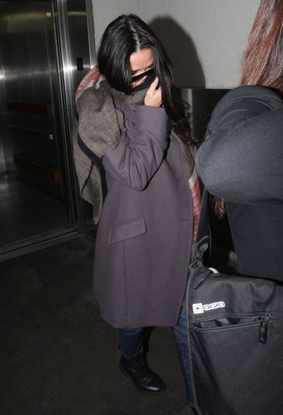Demi Moore's A Drunken Mess At Lenny Kravitz Party, Happy Or Desperate? 1206
