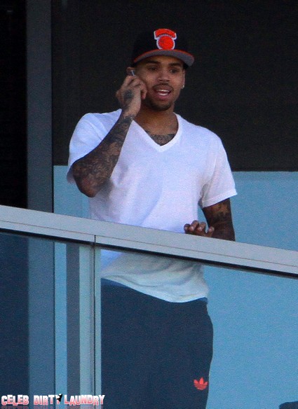 Chris Brown Set To Be Arrested For Snatching A Fan's Cell Phone