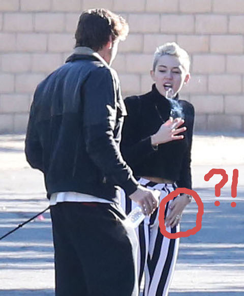 Miley Cyrus and Liam Hemsworth Already Married (Photo)