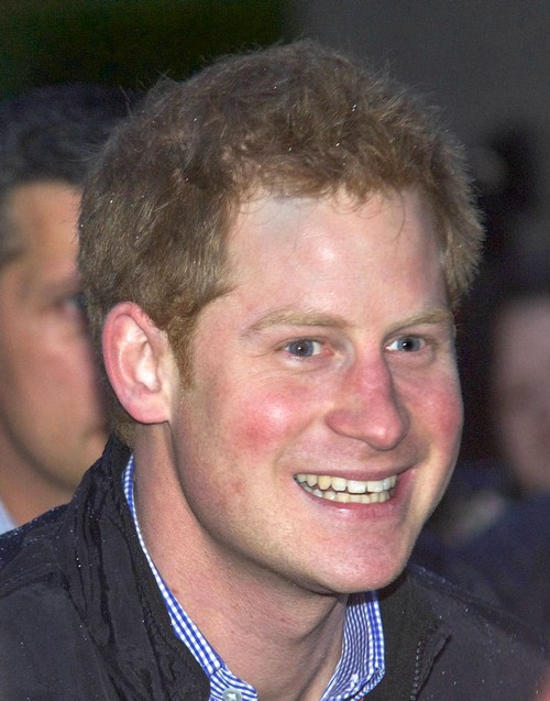 Prince Harry Quitting Armed Forces: Taliban and ISIS Threats To Harry's ...