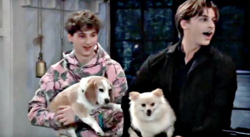 General Hospital Wednesday, December 3 Recap: Freed Dogs Invade Sonny's  House – Nina & Portia's Bar Brawl | Celeb Dirty Laundry