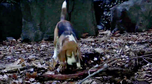 General Hospital Wednesday, September 2 Recap: Outback Digs at Brennan’s Burial Spot