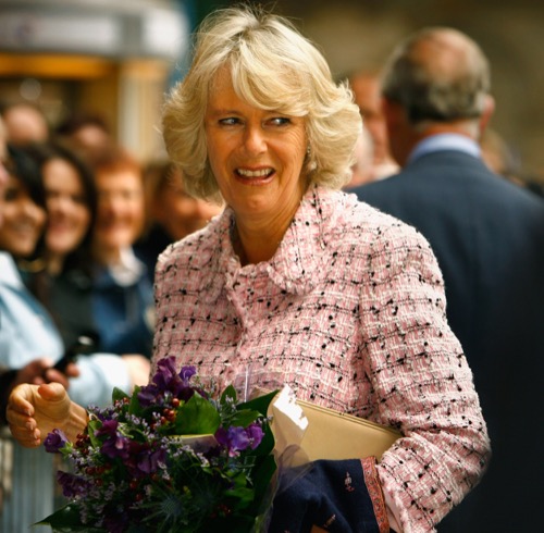 Camilla Parker-Bowles No Longer The Most Hated Royal as Popularity Rises