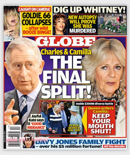 Prince Charles and Camilla Parker Bowles Are Getting A Divorce (Photo)
