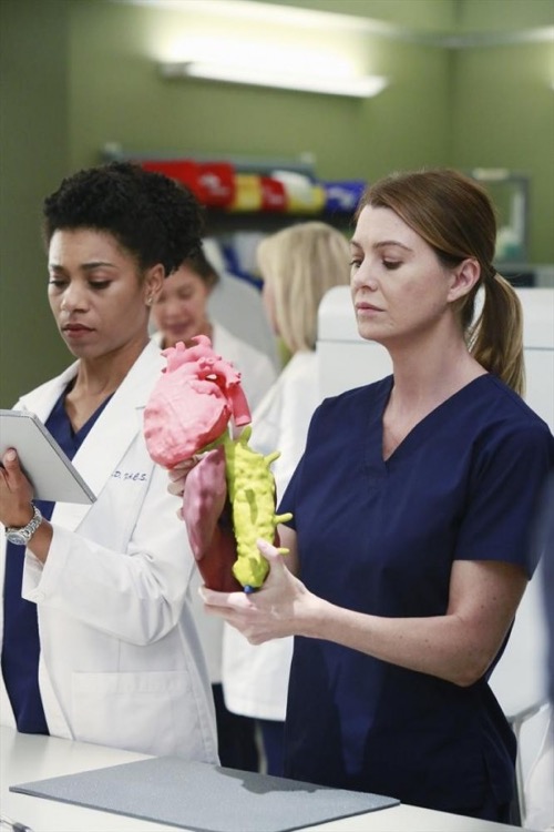 Grey’s Anatomy Recap - "The Bed’s Too Big Without You" Season 11 Episode 10 