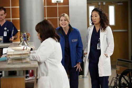 Grey’s Anatomy Season 9 Episode 12 “Walking on a Dream” Recap 01/24/13