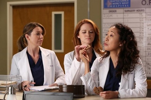 Grey’s Anatomy Season 9 Episode 11 “The End is the Beginning is the End” Recap 1/17/13