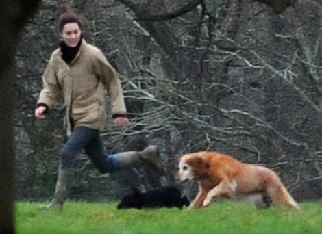 Pippa Middleton And Kate Middleton's Dog More Fascinating Than Boring Kate Middleton? 0130