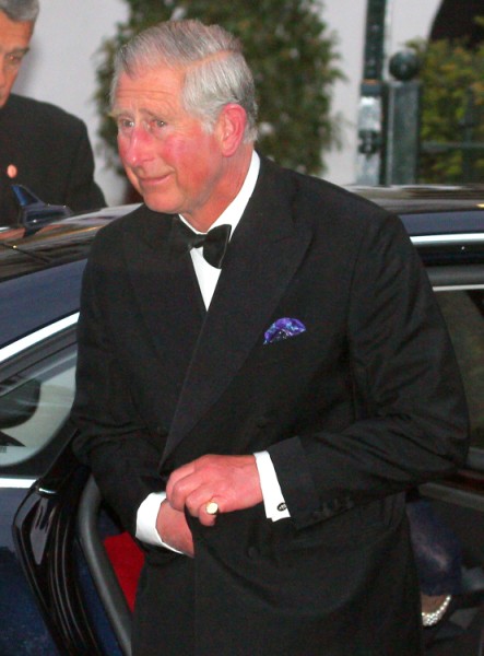 Prince Charles' King Roles Increasing - Is Queen Elizabeth Sicker Than We Thought? 0508