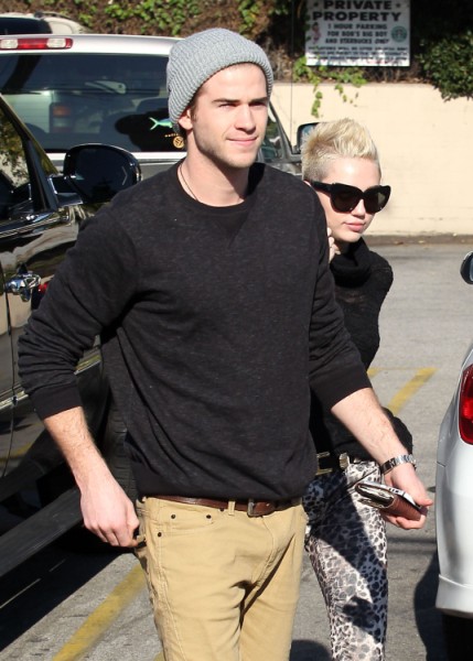 Miley Cyrus And Liam Hemsworth Wedding On Hold - Couple Worried About Quickie Divorce 0410