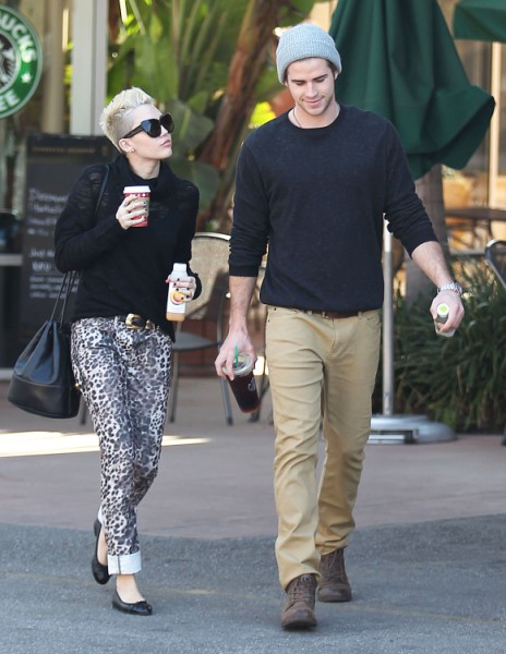 Miley Cyrus And Liam Hemsworth Wedding On Hold - Couple Worried About Quickie Divorce 0410