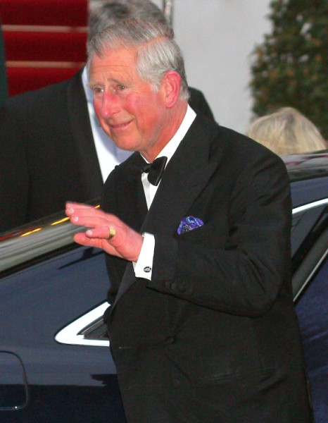 Prince Charles' King Roles Increasing - Is Queen Elizabeth Sicker Than We Thought? 0508