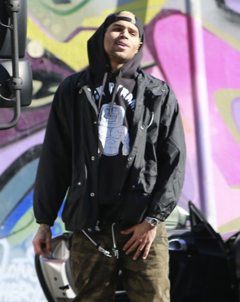 Rihanna, Chris Brown To Perform Together At Grammys - Inappropriate Or Old News? 0210