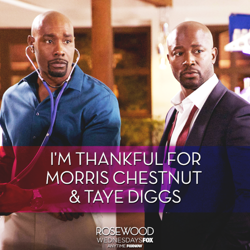 Rosewood Recap 12/2/15: Season 1 Fall Finale "Aortic Atresia and Art Installations"