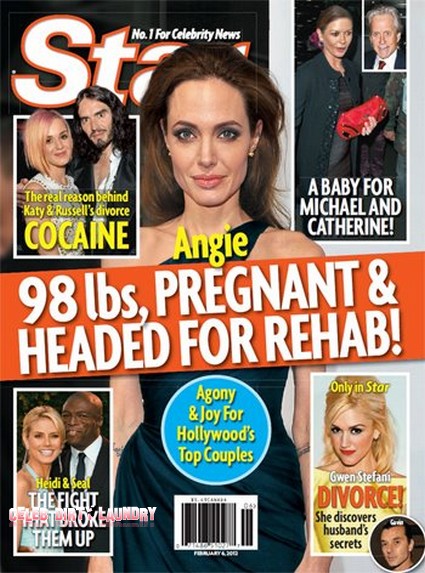 Angelina Jolie Is Pregnant, Weighs 98 Pounds, And Is Headed For Rehab (Photo)