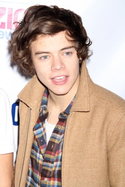 Harry Styles Buys Taylor Swift A Ring! Too Soon Or Too Cute? 1208