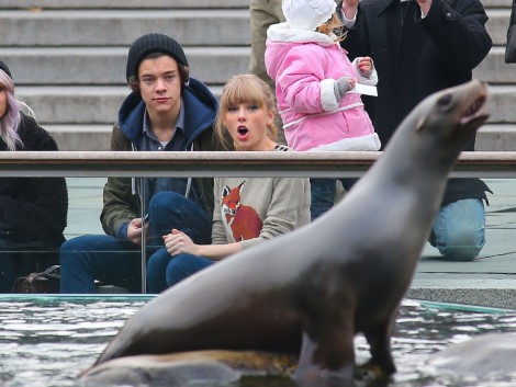 Taylor Swift Using Harry Styles To Boost Her Career? 1213