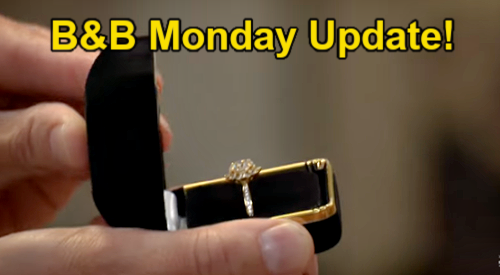 The Bold and the Beautiful Monday, October 27 Update: Luna’s Stunt Infuriates Li, Liam’s Remarriage Plea to Hope