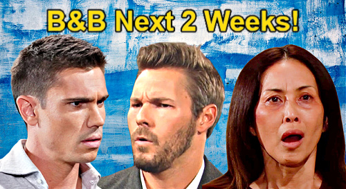 The Bold and the Beautiful Next 2 Weeks: Furious Showdowns, Fight for Marriage Survival, and Major Confession