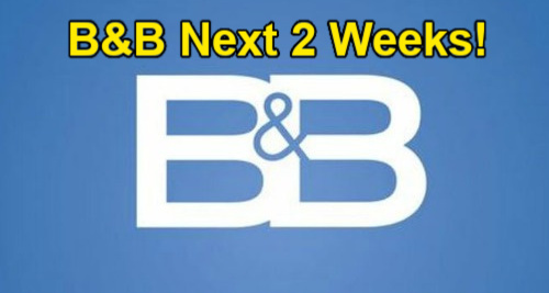 The Bold and the Beautiful Next 2 Weeks: Sheila’s Next Move, Violence & Mistakes, Will Crosses The Line