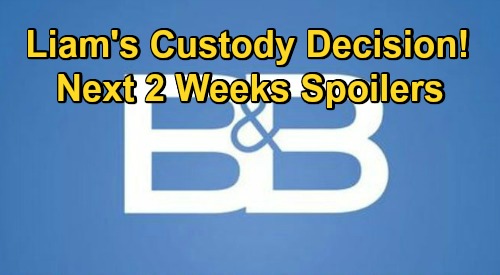 The Bold and the Beautiful Spoilers Next 2 Weeks: Steffy's Fall & Liam’s Custody Decision – Thomas & Hope New Co-Parenting Plan