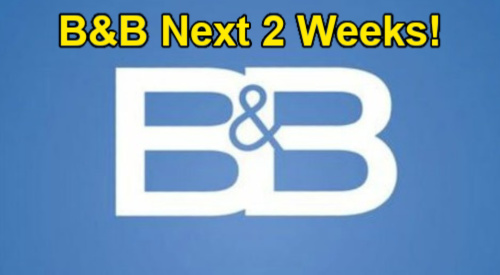 The Bold and the Beautiful Spoilers Next 2 Weeks: Hope Betrayed, Deke Flops, Katie Grabs Greyson