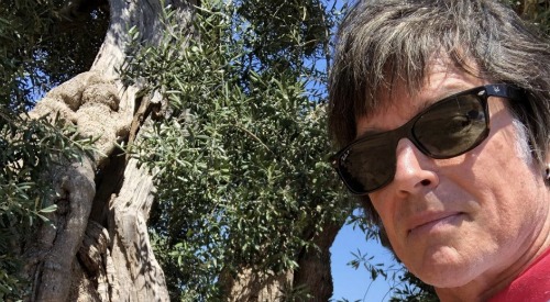 The Bold and the Beautiful Spoilers: Ronn Moss Sends Warm Message From Belgium - Original Ridge Forrester Plays Prince