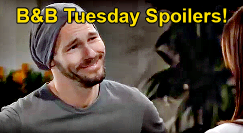 The Bold and the Beautiful Spoilers Tuesday, May 6: Steffy’s Visit Shocks Hope – Liam’s New Reality