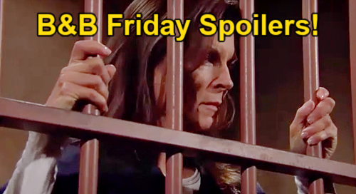 The Bold and the Beautiful Spoilers: Friday, April 28 – Sheila Pitches Escape Plan to Unexpected Visitor, Mike