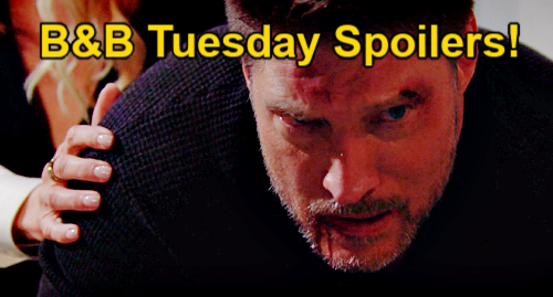 The Bold and the Beautiful Spoilers: Tuesday, February 15 – Deacon’s Trick Pays Off - Taylor Suspects Sheila's Involved