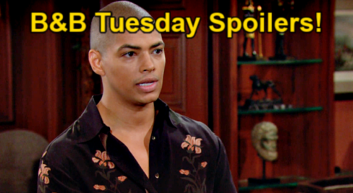 The Bold and the Beautiful Spoilers: Tuesday, November 21 – Hope ...