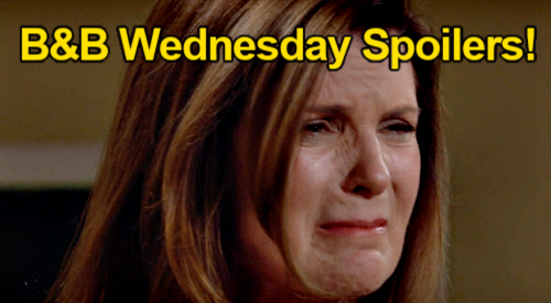 The Bold and the Beautiful Spoilers: Wednesday, April 27 – Finn Grief Takes a Toll - Steffy Surprises Sheila with Compassion