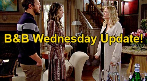 The Bold and the Beautiful Spoilers: Wednesday, February 16 Update – Hope Helps Brooke Deal With Ridge Breakup Pity Party