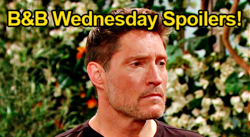 The Bold and the Beautiful Spoilers: Wednesday, March 15 – Deacon Eavesdrops on Sheila News – Ridge Returns to Family Drama