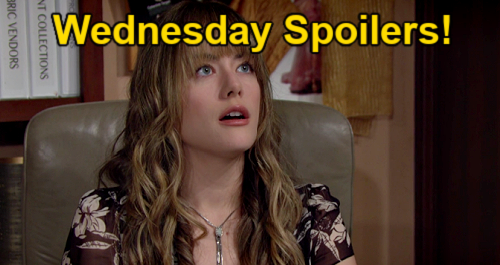The Bold and the Beautiful Spoilers: Wednesday, November 3 – Finn Takes Hope's Side Against Steffy - Donna Heartbroken