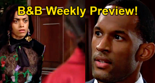 The Bold and the Beautiful Spoilers: Week of May 24 Preview - Carter ...