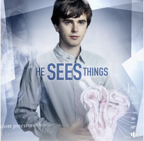 the good doctor season 1