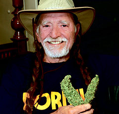 Willie Nelson's Lawyer Will Fight Drug Charge