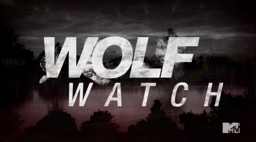 Wolf Watch Recap 7/28/14: Season 2 Episode 6 Wolf Watch Recap 7/28/14: Season 2 Episode 6