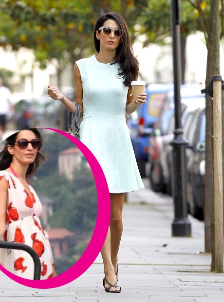 Amal Alamuddin Pregnant - George Clooney's Reason For Such A Hasty Proposal! (PHOTO)