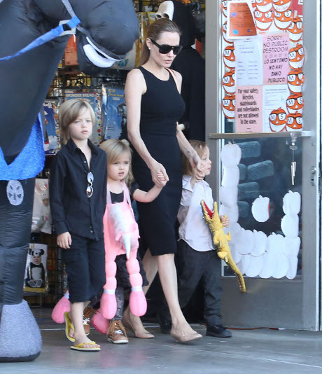 Brad Pitt and Angelina Jolie Purchase Wedding Rings -- One Step Closer to the Big Wedding!