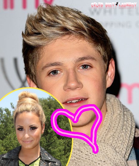 Niall Horan Caught In Whirlwind of Embarrassment While Meeting Girlfriend Demi Lovato's Family