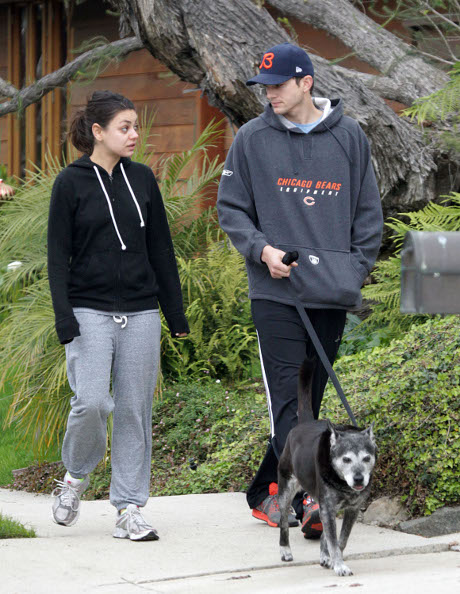 Ashton Kutcher Officially Files Divorce From Demi Moore to Keep Himself Out of Financial Trouble!